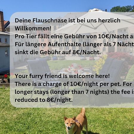 Hw3 - Urlaubsmagie - Helle, Grosse Wohnung Mit Pool Sebnitz Bagian luar foto