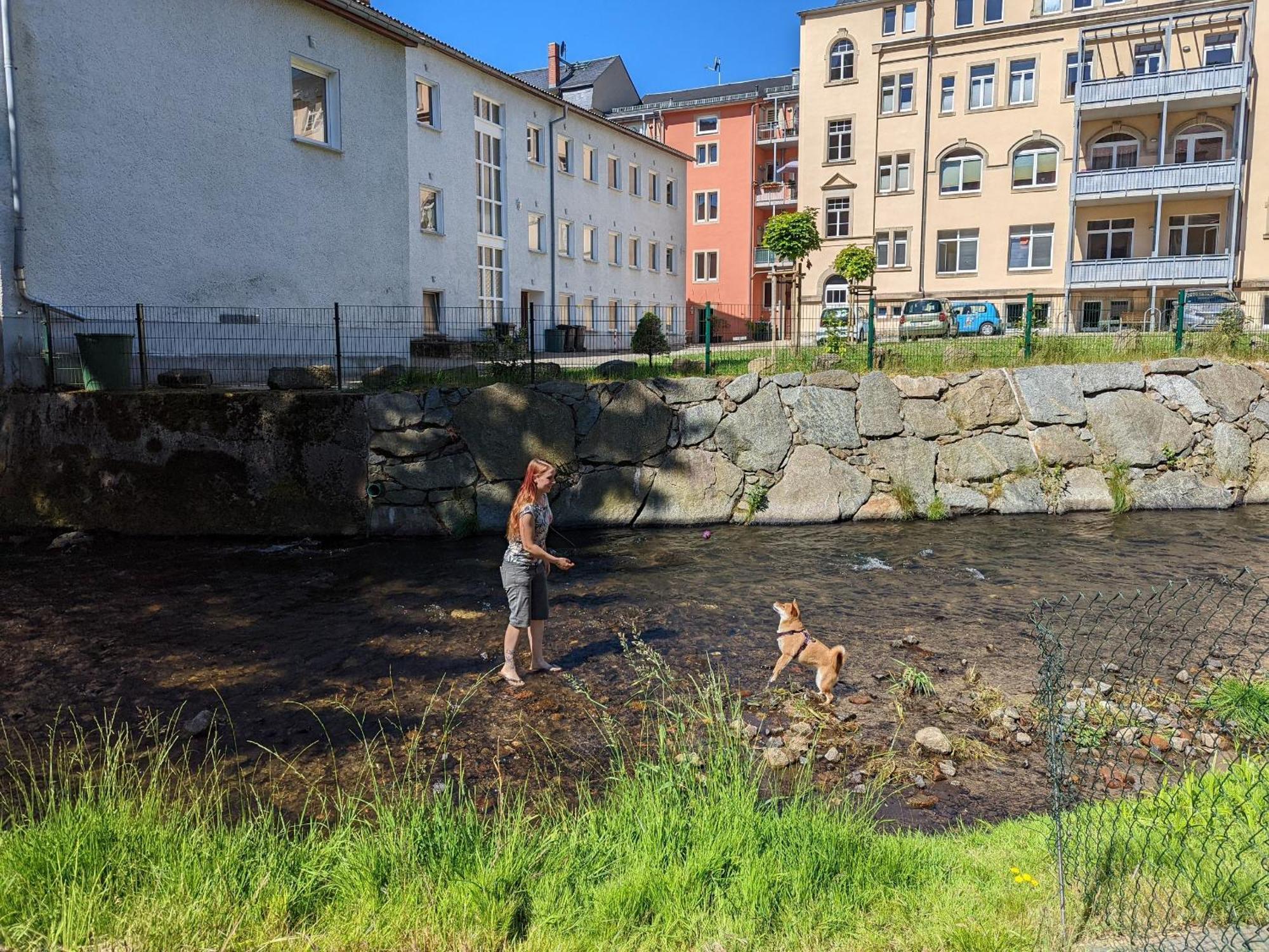 Hw3 - Urlaubsmagie - Helle, Grosse Wohnung Mit Pool Sebnitz Bagian luar foto