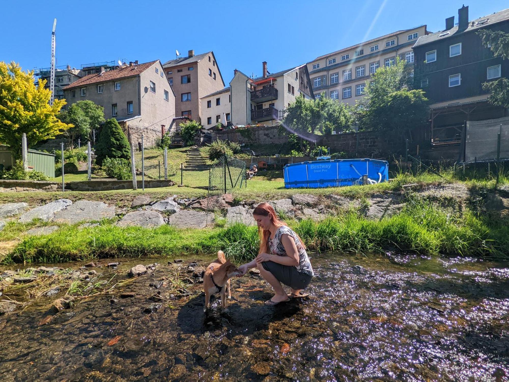 Hw3 - Urlaubsmagie - Helle, Grosse Wohnung Mit Pool Sebnitz Bagian luar foto