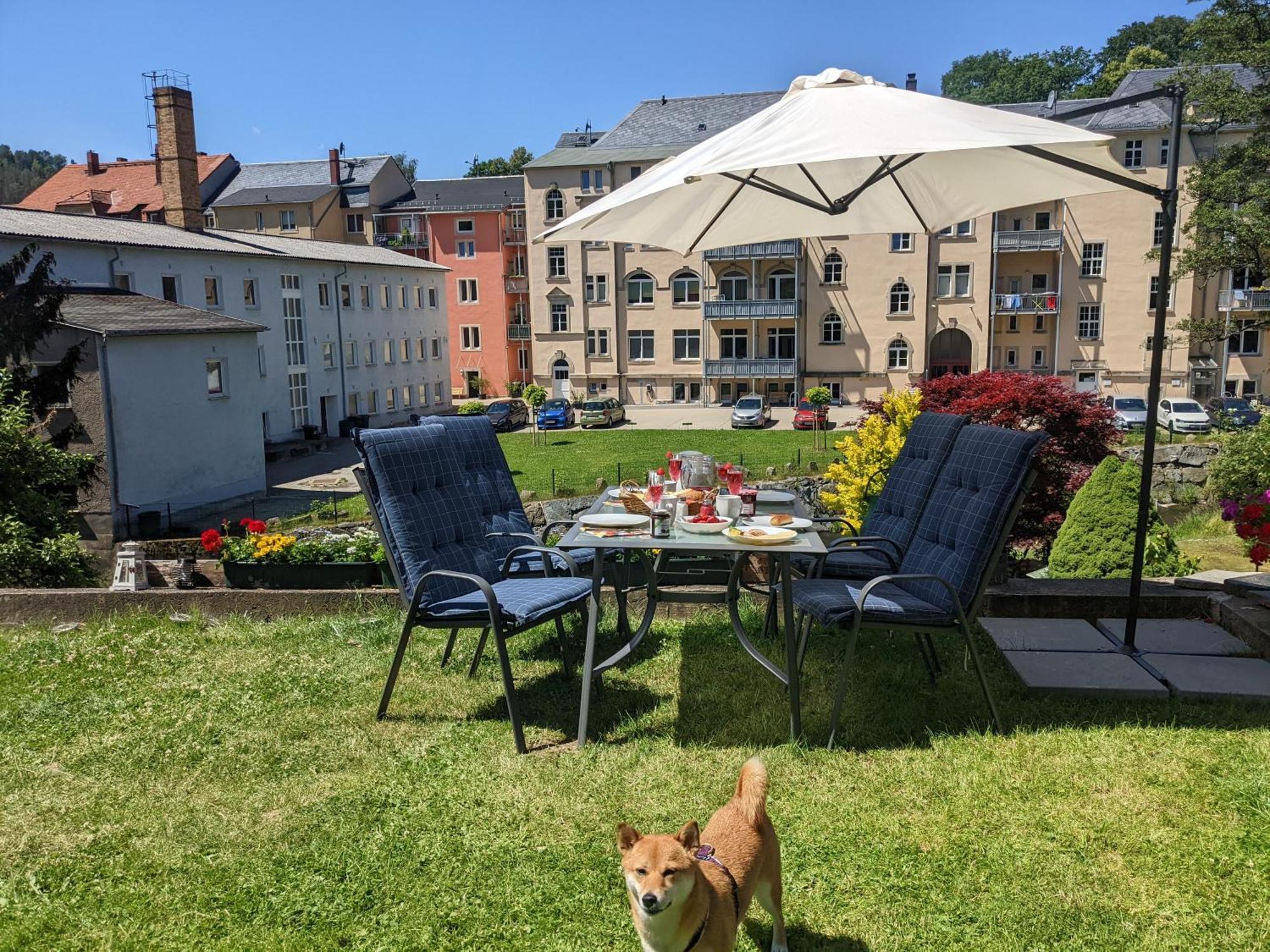 Hw3 - Urlaubsmagie - Helle, Grosse Wohnung Mit Pool Sebnitz Bagian luar foto
