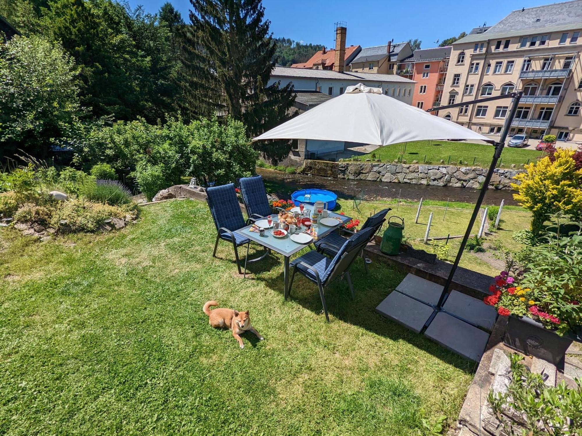 Hw3 - Urlaubsmagie - Helle, Grosse Wohnung Mit Pool Sebnitz Bagian luar foto