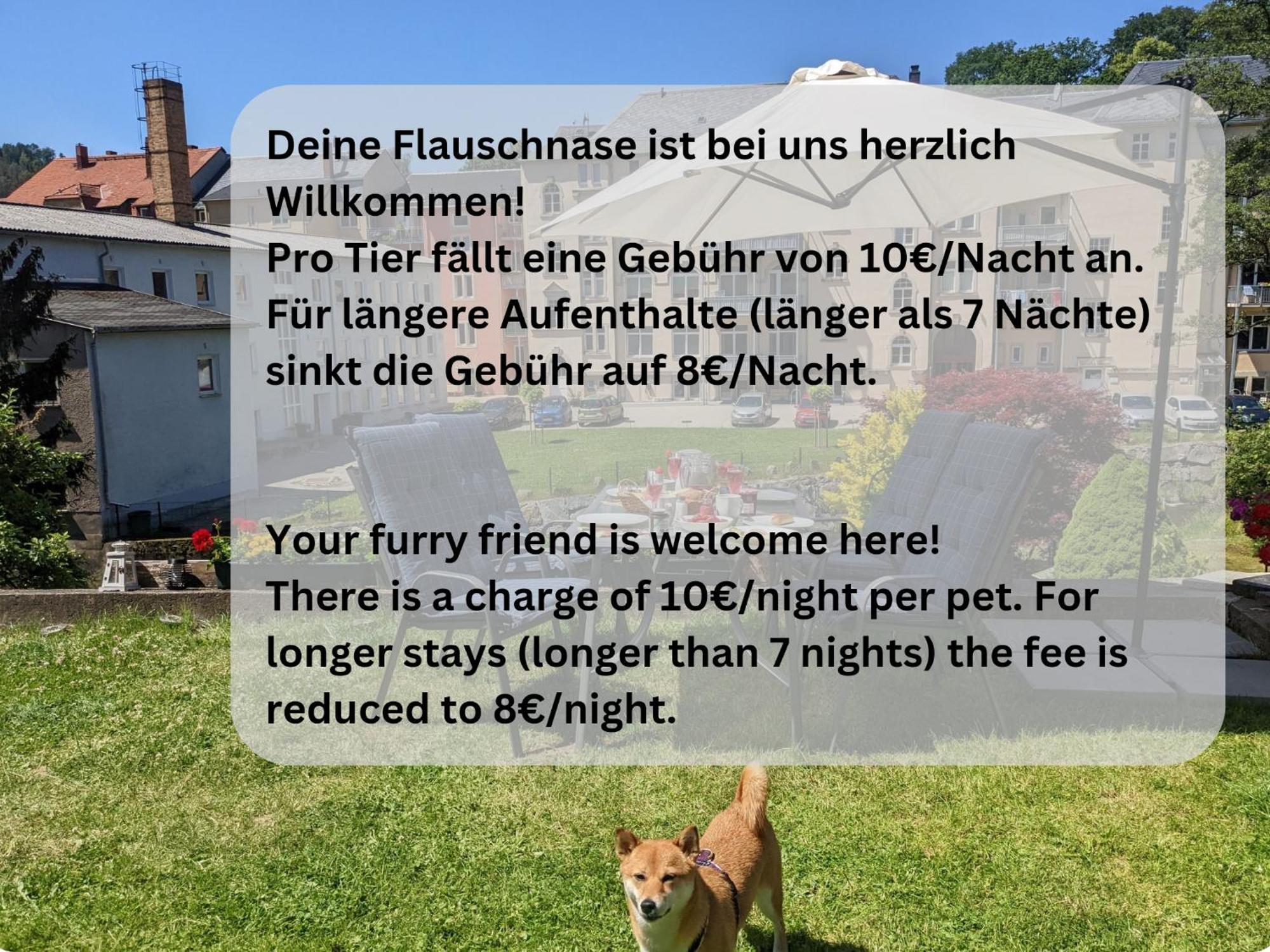 Hw3 - Urlaubsmagie - Helle, Grosse Wohnung Mit Pool Sebnitz Bagian luar foto